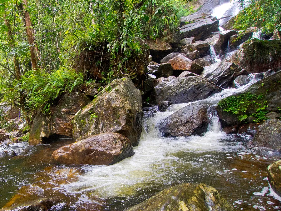 Sinharaja